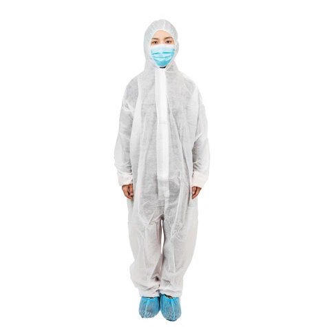 บอดี้แวร์